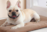 2Pcs Pet Blanket Self-Heating Bed Pad Cat Dog Self-Warming Cushion-Khaki M V1263-JX-7509-2