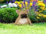 Dog Statue, French Bulldog Statue Garden Animal Sculpture for Garden Decoration Outdoor Lawn Gnome V1192-AZ-W-9971