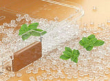 Dumpling Storage Box Large Capacity Multi Layer Transparent Plastic Airtight Food Container Kitchen V1294-YM0703-3118230143812