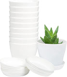 Pots Plants, 8 Pack 4 inch Plastic Planters with Multiple Drainage Holes and Trays - Plant Pots V1189-WXFWAL-20260319-01176