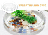 Clear Glass Planter Pot for Small Plants, Decorative Flowerpot Container, Fish Bowl, and Terrarium V1192-AZ-W-28523