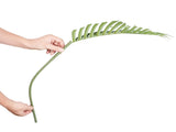 Artificial Palm Tree, 1219mm Tall Faux Plant, Secure PE Material & Anti-Tip Tilt Protection V952-RZRDZW4FT2BLDY2FIV0