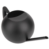 Watering Can Long Nozzle 1000ml Stainless Steel Sprinkle Pot for Plants Gardening Supplies V1294-YM0901-3111200227011