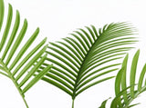 Lambu Artificial Tree Palm Fake Leaves Large Artificial Plants Indoors 180cm UM1267-6FT-AU