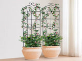 4 Packs Metal Garden Trellis for Climbing Plant Support 71x20 in Rustproof V952-HPJHX6JTH71WWTFZ4V0