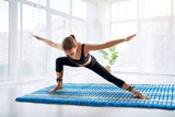 Day bed Roll Out Mattress XL Large Foldout Mat relaxation day bed camping or Yoga Matt Natural Kapok V277-BLUEMAT120X200