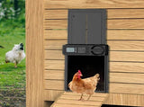 CARLA HOME Automatic Chicken Coop Door Opener with Timer Control, Anti-Pinch Protection, LCD Display V178-36314