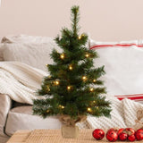 61cm Wintergreen Tabletop Pre-Lit Christmas Tree 112_OPWG2P