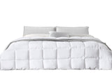 DreamZ 400GSM All Season Bamboo Winter Super King DS1014-SK-400