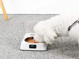 Automatic Smart Cat Feeder Bowl Sensitive Open Cover Pet Feeder Transparent Lid Prevent Slip IR V1366-AZ2-W-06954