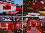 LED White Christmas Lights Outdoor, String Lights Plug in Extendable, 8 Modes Christmas Tree V1107-124-73533-RED-30M300