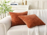 18" x 18" Decorative Throw Pillow with Inserts, Set of 2 Soft Modern Farmhouse Throw Pillows, Square V1258-DP02-C-3208