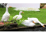 Outdoor Simulation Duck Decoration Garden Pool Water Landscape Decoration Layout Resin Decoration V1294-YM0715-211202DY01-2