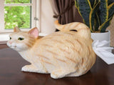 Cat Butt Holder - Orange Cat Square Box Cover- Cute Bathroom Accessories - Resin V1369-AZ3-W-04566