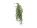 Artificial Air Plant Spanish Moss UV Resistant 100cm V637-DP1020999