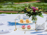 Elegant Double Layer Cake Stand for Weddings, Parties, and Special Celebrations V1370-AZ4-20092