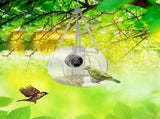 WiFi Smart Bird Feeder 1080P HD Camera Bird Feeder with Night Vision V1263-JX-6831