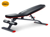 Powertrain Home Gym Bench Adjustable Flat Incline Decline FID 250KG Load WBD-01B