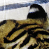 800GSM Luxury Reversible Animal Pattern Mink Blanket Queen 200 x 240 cm Three Tigers Blue V442-LYL-BLANKET-2025THREETIGERS-BLUE-QS