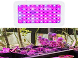 600W LED Plant Growth Lamp Full Spectrum Greenhouse Seedling Plant Grow Light V1294-YM0901-3111200306914
