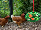 2pcs Chicken Vegetable Feeder Ball Hanging Feeding Toy, Poultry Fruit Holder Chicken Cabbage Feeder V1188-CYX-DP-195