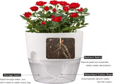 3 Pack Grey Indoor Self Watering Planter Pot - 6 Inch Double Layer Rempvable Plastic Flower Pot with V888-ELOSUNG55169-2