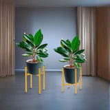 Metal Plant Stand Adjustable Indoor V63-916221