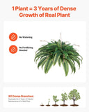 VEVOR Artificial Boston Fern Large Plastic Fern 80 Branches Indoor Outdoor Decor V952-XDSRZJLZWBHH076QJ001V0