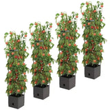 Tomato Tower With 3 Tier Frame 4 x Pack V178-67256