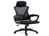 FORTIA Ergonomic Office Desk Chair, Height Adjustable Lumbar Support, Mesh Fabric, Headrest, Black V219-OFFOCRFOE1KA