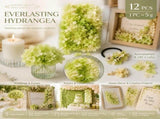 Pale Green Champagne Preserved Hydrangea Resin Making Bulk Supply Pack 12 V1221-XM-LB828-ZS19