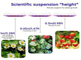 Grow Lights for Indoor Plants Full Spectrum 216 LEDs 3 Modes Large Coverage for Plant Growth V1294-YM0901-H48458EU