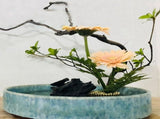 12PCS Flower Frog, Pin Frog Round Brass Flower Holder, Flower Frogs for Arrangements Vase, Fl Metal V1192-AZ-W-23855
