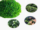 Outdoor Villa Garden Landscape Lights Simulate Potted Solar String Lights Luminous Grass Lights V1294-YM0523-220225DY04-3