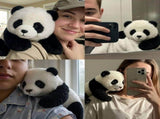 2PCS Panda Plush Toy - Soft Stuffed Animal Dolls for Kids, Cute Hugging Teddy Bear for Children, V1370-AZ4-10580