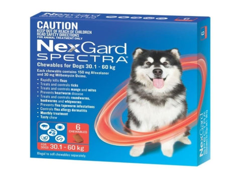 NexGard Spectra Dogs 30.1-60kg 6pk NEXGARD-WNGSXL6_NZ