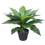 Artificial Potted Wide Leaf Birds Nest Fern 50cm V77-1043066