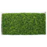 Mixed Boxwood Hedge UV Resistant 100cm Long x 50cm High V637-DP1011911