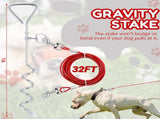 2 Set Dog Tie Out Cable and Stake - 30ft Leash Chain, 16" Spiral for Outside Yard Medium to Large V1259-DP01-A-1121