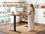Artiss Electric Standing Desk Height Adjustable Table 120cm Walnut Black HASD-B-S2522R-120-BKWA