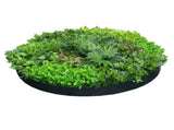 Artificial Green Wall Disc Art 150cm Mixed Ivy and Philodendron V637-DP1013968B