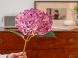 4PCS Artificial Hydrangea Flowers Simulation 3D Printing Decorative Hydrangea Branches for Home V1294-YM0901-240506HL02-2