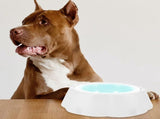 Pet Drinking Bowl with Cooling Gel and Non- Stable Base for Cats and Dogs V1370-AZ4-20509