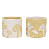 Set 2 Asst Mushroom Planters w Hole Plug 17cm V637-88746PLN