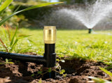1-1/4 Inch Brass Check Valve, Universal One Way In Line Valves with Backflow Prevention, No Return V1259-DP01-A-990