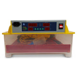 Rooster Farms Electric 60 Egg Incubator Accessories for Chicken Quail Duck V238-SUPDZ-33454539334