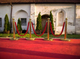 4 x Queue Barriers 3 Ropes Exhibition Crowd Control Bollards V63-844481