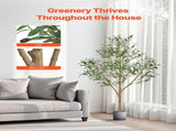 150cm Artificial Olive Tree with Black Pot, Tall Fake Tree with Natural Wood Trunk & Realistic Green V952-RZS5FTGLSSLX6A0M6001V0