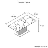 Dining Table Ceramic Table Top MDF Stainless Steel feet V43-DT-ASPN