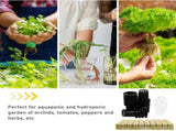 Hydroponic Plant Growing Kit with Cotton Rope Holder and Durable Plastic Components for Indoor V1370-AZ4-16174
